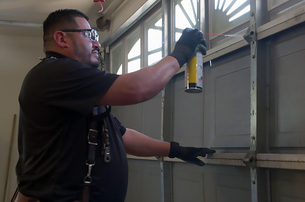 Noisy Garage Door Fix: Is It the Motor or the Springs?